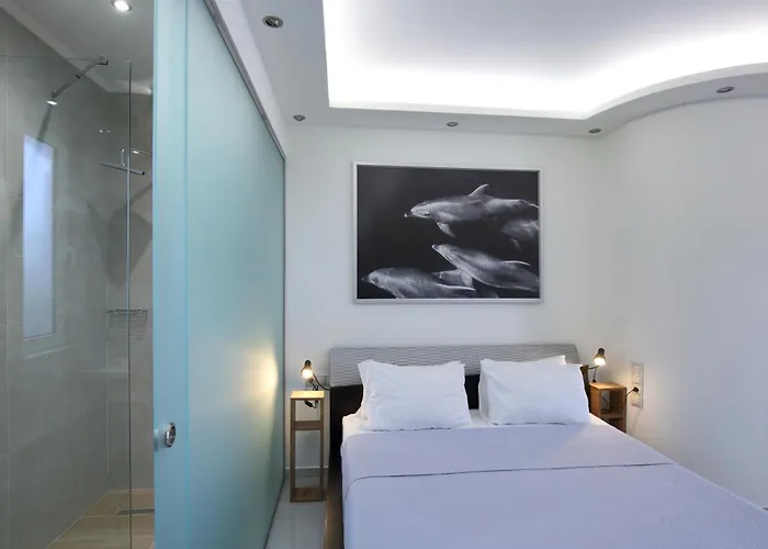 Sea Horizon Private Luxury Lefkada Sea View Private Pool Resort *